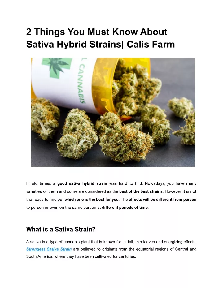 Ppt Things You Must Know About Sativa Hybrid Strains Calis Farm