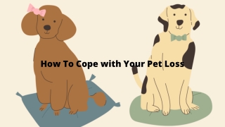 How to cope with your Pet Loss
