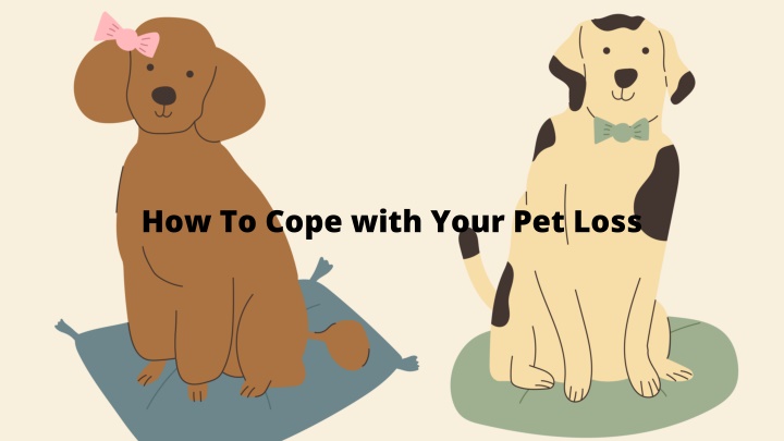 how to cope with your pet loss