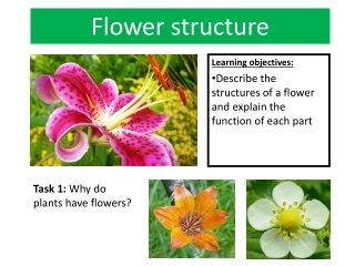 Plant Reproduction