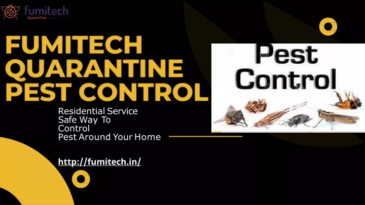 residential service safe way to control pest