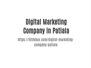 Digital Marketing Company in Patiala