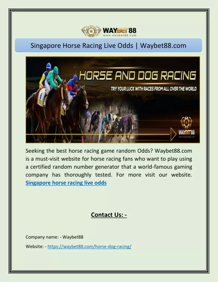 singapore horse racing live odds waybet88 com