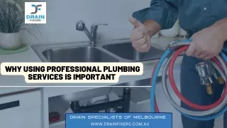 why using professional plumbing services