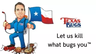 Get the best Residential Pest Control Services from Texas Bugs