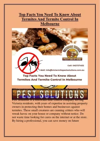 Top Facts You Need To Know About Termites And Termite Control In Melbourne