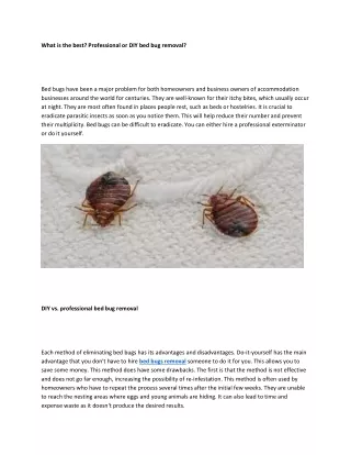 bed bugs removal