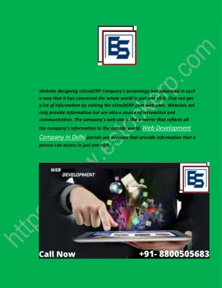 Web Development Company in Delhi