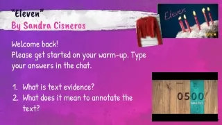 eleven by sandra cisneros