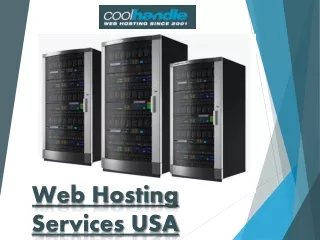 web hosting services usa