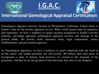 Professional And Reliable Jewelry Appraisal Service