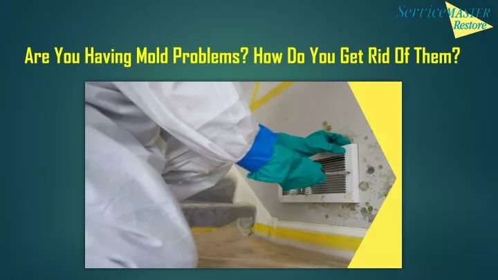 are you having mold problems