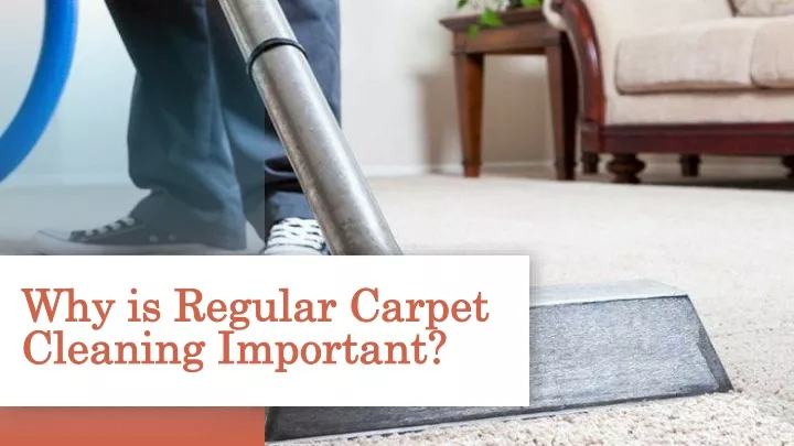 why is regular carpet cleaning important