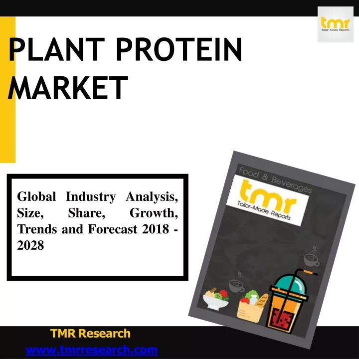 plant protein market