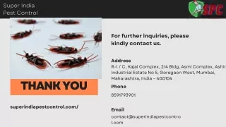 Pest Control | pest control near me | pest control services