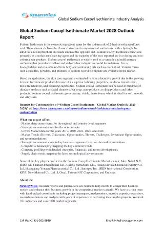 2028 Sodium Cocoyl Isethionate Market Country & Regional Analysis