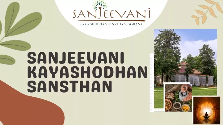 sanjeevani kayashodhan sansthan