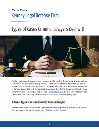 Types of Cases Criminal Lawyers Deal with