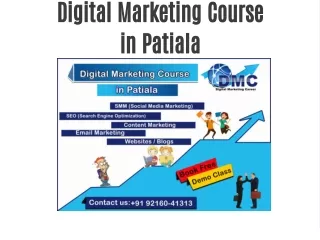SEO Company In Chandigarh