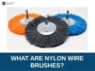 WHAT ARE NYLON WIRE BRUSHES