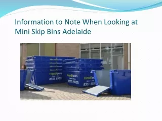 information to note when looking at mini skip
