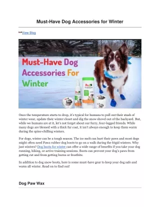 Must-Have Dog Accessories for Winter
