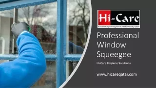 Professional Window Squeegee_
