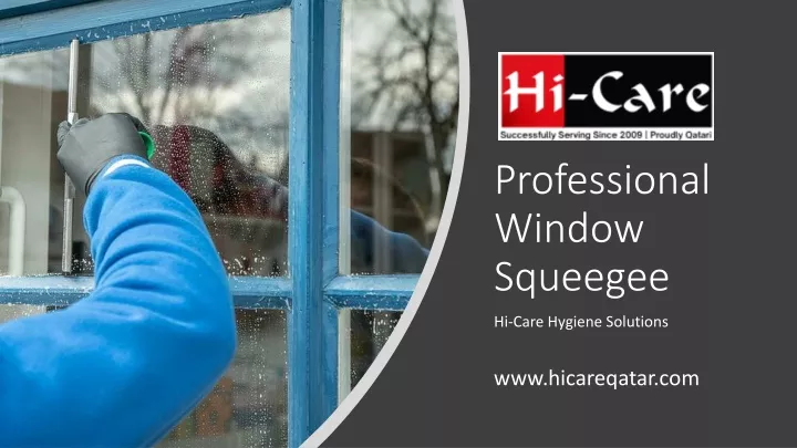 professional window squeegee