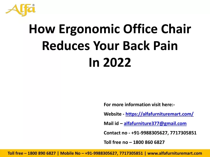 how ergonomic office chair reduces your back pain