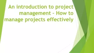 an introduction to project management