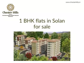 1 BHK flats in Solan for sale