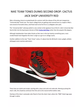Shop CACTUS JACK BY TRAVIS SCOTT at BELART | BELART