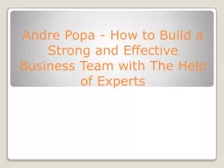 Andre Popa  How to Build a Strong and Effective Business Team with The Help of Experts