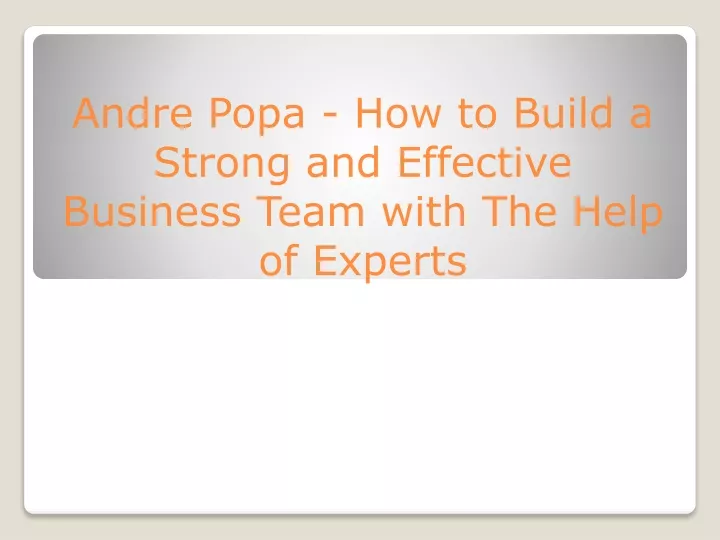 andre popa how to build a strong and effective business team with the help of experts