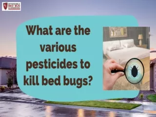 What are the various pesticides to kill bed bugs?