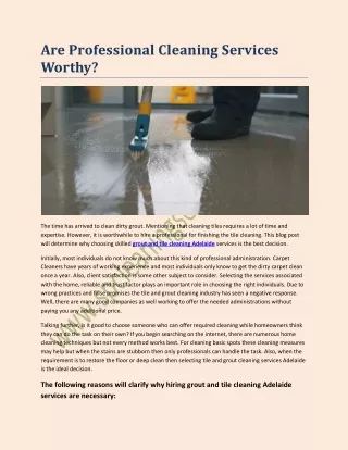 Are Professional Cleaning Services Worthy