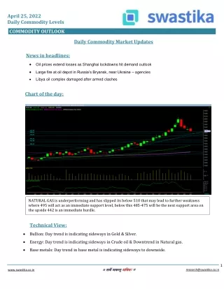 Commodity daily levels (25-April)