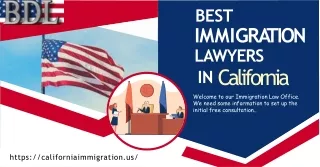 Online best best immigration lawyers in California - Brian. D. Lerner