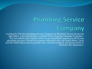 Plumbing Service Company