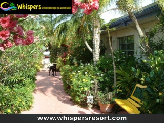 Best Places to Stay St Petersburg Florida