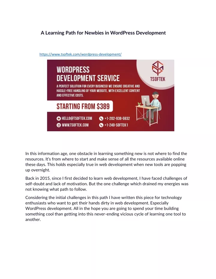 a learning path for newbies in wordpress