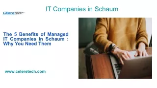 IT Companies in Schaum