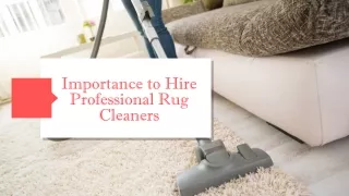 Importance to Hire Professional Rug Cleaners