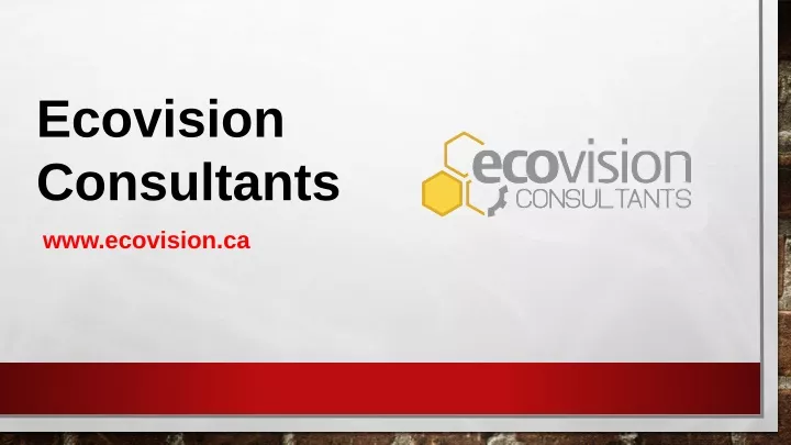 ecovision consultants