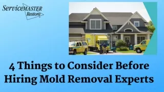 You Should Hire a Mold Remediation in Pompano Beach at ServiceMaster Remediation Services