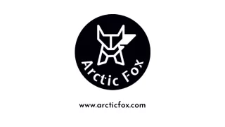 Arctic Fox