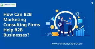 How Can B2B Marketing Consulting Firms Help B2B Businesses - Company Expert
