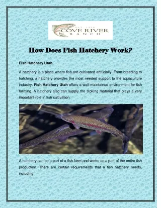 How Does Fish Hatchery Work