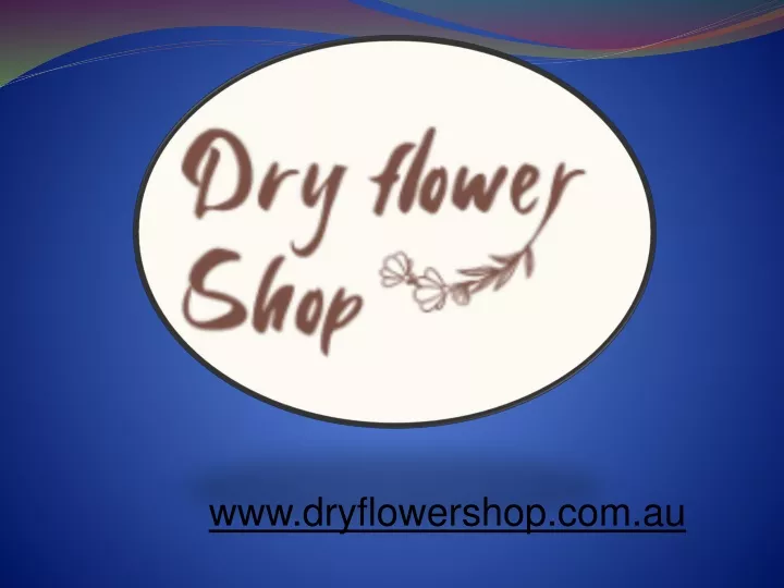 www dryflowershop com au