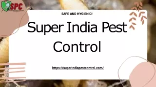 Pest Control | pest control near me | pest control services